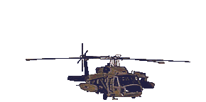 IMAGEBLACKHAWK.JPG