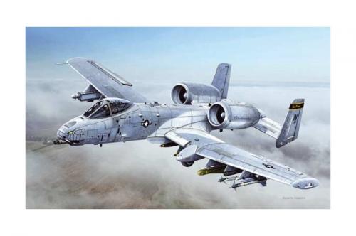 ITALERI A-10C BLACK SNAKES  