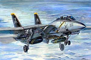 TRUMPETER F-14B TOMCAT  ( BOMB-CAT )
