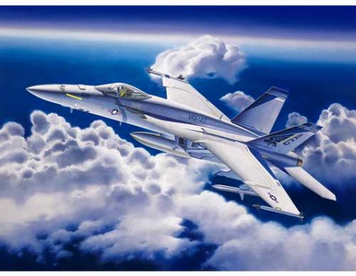 TRUMPETERFA18ESUPERHORNET2.JPG