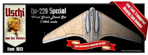 Uschi Van Der Rosten Horten 229 special 48th scale